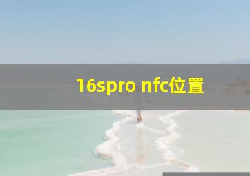 16spro nfc位置